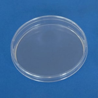 Petriskåle, LLG, PS, uden ventiler, ikke sterile, Ø 60 mm, 1080 stk