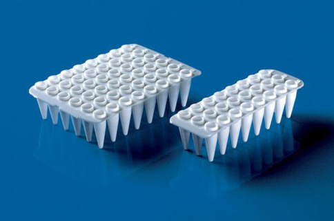 48-brønds PCR-plader, PP, hvide, qPCR (pakke m 20)