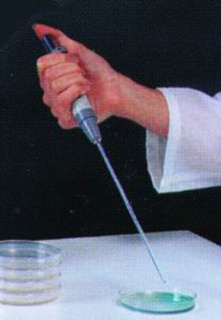 Pipettespidser til Interscience pipette, 19 cm, sterile, 1000 stk