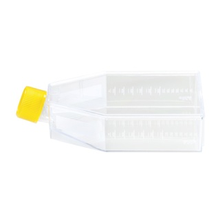 Celledyrkningsflaske, TPP filterlåg, 150 cm², 36 stk