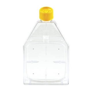 Celledyrkningsflaske, TPP filterlåg, genluk, 150 cm², 18 stk