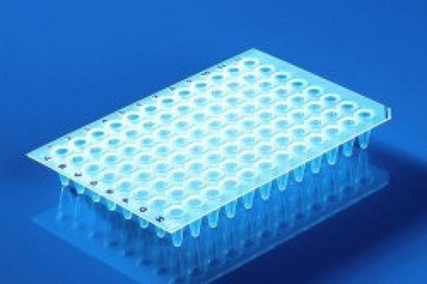96-brønds PCR-plader m/semiskørt, standard, klare