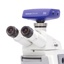 Mikroskop Zeiss Axiolab 5 inkl. kamera, 5/10/40/100x olie 