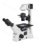Omvendt mikroskop AE31E,binokulært, 45° visning