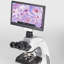 Mikroskopkamera inkl. LCD-skærm, Moticam 1080N BMH 
