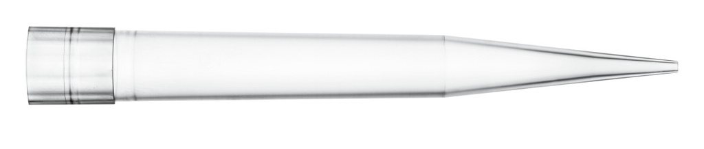 LH-B791004.2.jpg