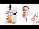 youtube - [Video]