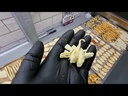 youtube - [Video]