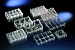 Nunc Multidish 6 brønde, Poly-D-Lysin, sterile