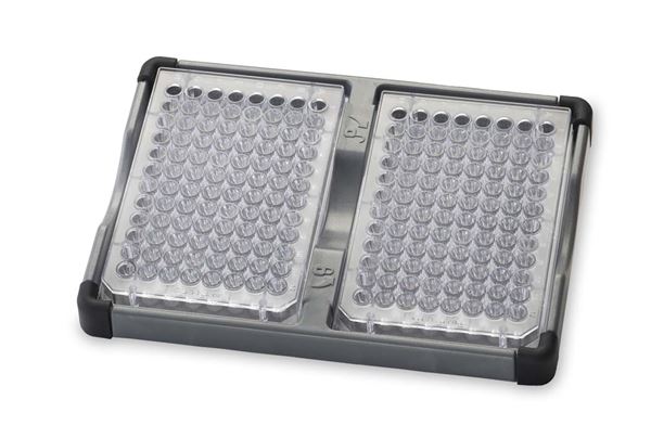 Ohaus-holder til 2 mikrotiterplader til Vortex