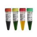 DNA markør, 100 bp - 10 Kb, 500 µl