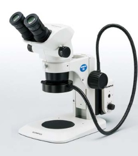 Stereomikroskop, Olympus SZ61, 6,7x-45x m/ ringlys