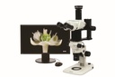 Stereomikroskop, Olympus SZX7 Ergo, 8x-56x