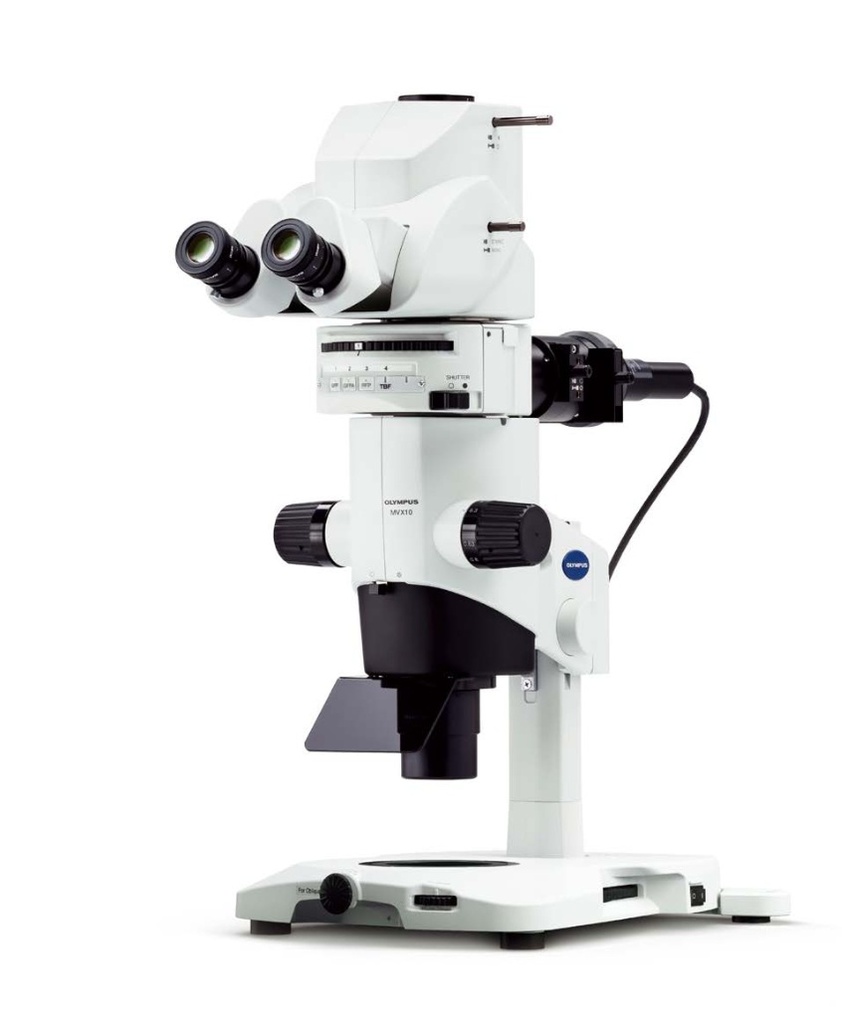 Stereomikroskop, Olympus MVX10, 6.3X–63X