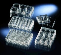 Nunc Multidish 24 brønde, ubehandlet, steril