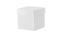 [1522790] Kryoboks, TENAK, 133 x 133 x 130 mm, PP belagt karton, uden rum, hvid
