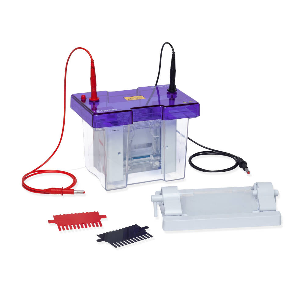 Elektroforesesystem omniPAGE TETRAD Mini