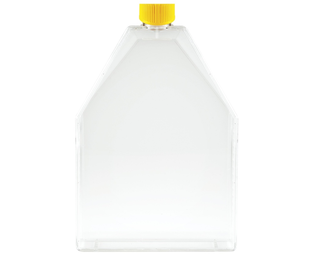 Celledyrkningsflaske, TPP ventileret låg, 300 cm², 18 stk