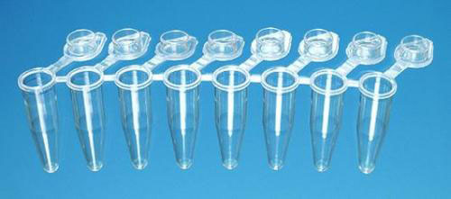 PCR-rør, 8x0,15ml m/ hængslet låg, low profile